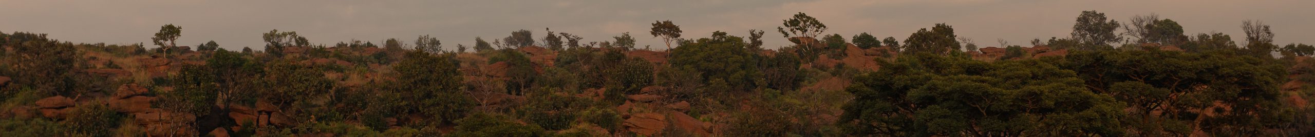 Experience the extraordinary