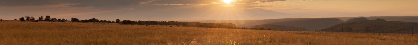 Experience the extraordinary